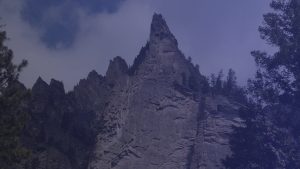 Montana Group Mountainside with Trees